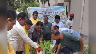 विश्व पर्यावरण दिवस : कटोरिया सीएचसी से हरियाली का संदेश, लगाये गये नीम, पीपल व गुलमोहर के पौधे