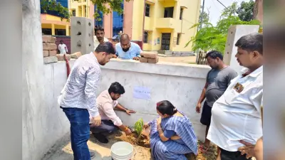पर्यावरण दिवस पर धोरैया में बीडीओ ने लगाये पौधे, लोगों से की हरियाली बढ़ाने की अपील