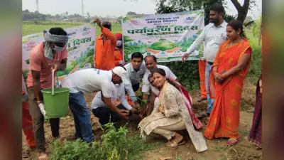 अमरपुर में अधिकारियों और समाजसेवियों ने लगाये पौधे, आम लोगों से चारों ओर हरियाली बढ़ाने का किया आग्रह