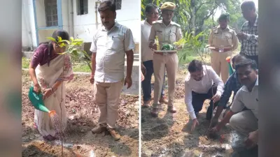 विश्व पर्यावरण दिवस पर नवगछिया कोर्ट परिसर से भी हरियाली बढ़ाने का दिया गया संदेश