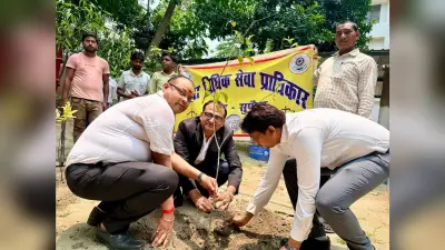 न्यायालय परिसर में न्यायिक पदाधिकारियों ने किया पौधारोपण