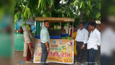 पलाश मार्ट में बिक रहे आम, रोज 2500 रुपये तक कमा रही पोलीना