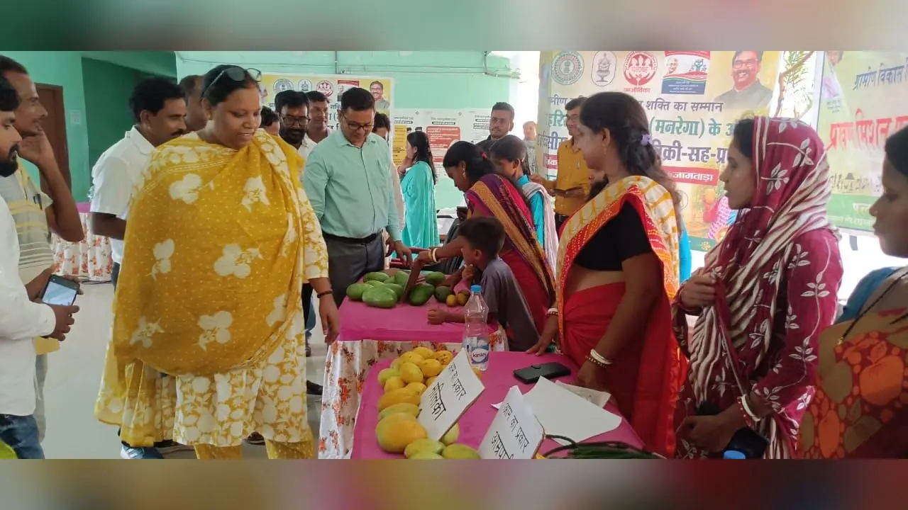 6000 एकड़ में आम की बागवानी से किसानों को हो रहा लाभ : डीपीएम