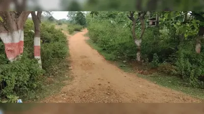 झुंडी में वन अधिकार के तहत सड़क निर्माण की मांग