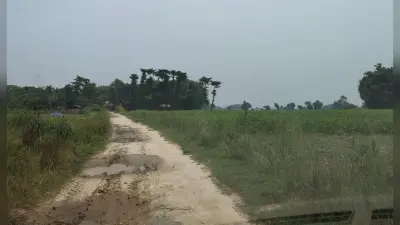 कीचड़ युक्त सड़क से गुजरने को मजबूर हैं ग्रामीण
