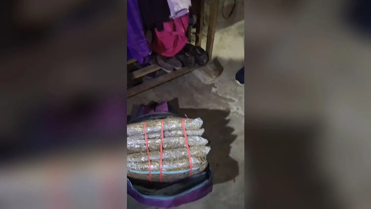 घर से 10.5 किलो गांजा बरामद, महिला गिरफ्तार
