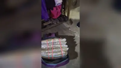 घर से 10.5 किलो गांजा बरामद, महिला गिरफ्तार