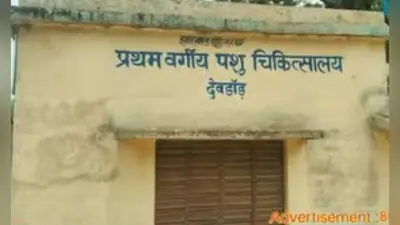 चिकित्सक के अभाव में बदहाल देवदांड़ पशु चिकित्सालय