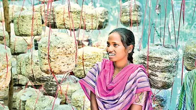 Rourkela News: आरएसपी की पहल से पर्श्वांचल क्षेत्रों में मशरूम की खेती से उद्यमिता को मिला बढ़ावा
