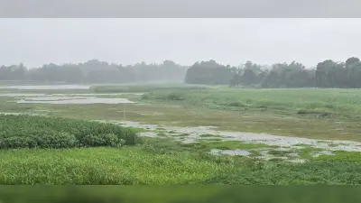 अचानक तेज हवा के साथ हुई बारिश, मौसम पूरे दिन बना रहा सुहाना