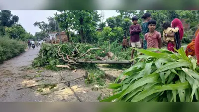 आंधी व बारिश से आम जनजीवन प्रभावित, बिजली आपूर्ति ठप