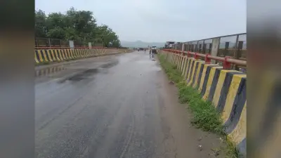 रेलवे ओवरब्रिज किनारे मिट्टी का जमावड़ा व उगे पेड़ से अस्तित्व पर खतरा