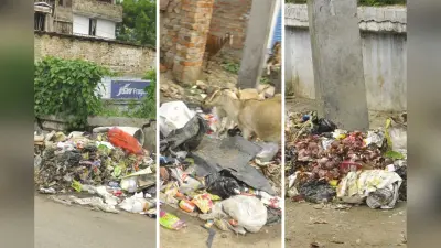 भागलपुर के हबीबपुर में लाखों के डस्टबिन गायब, सड़कों पर फेंका जा रहा कचरा