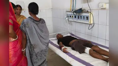 जमुई में तेज रफ्तार स्कॉर्पियो ने ऑटो में मारी टक्कर, दो घायल, एक की हालत गंभीर