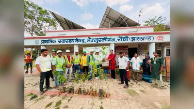 200 पौधे लगाये व 1000 सीड बॉल्स का किया वितरण