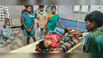 आम तोड़ने के दौरान पेड़ से गिरकर दो मासूम घायल