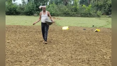 Bokaro News : लगातार बारिश से किसानों में उत्साह, धान बीज की बुआई शुरू