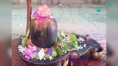 मासिक शिवरात्रि पर ओम नम: शिवाय के जयघोष से गूंजे शिवालय