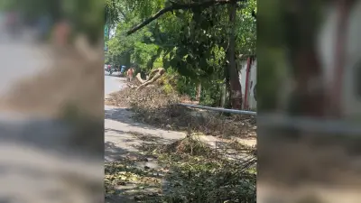 तूफान में गिर का टूटे सोलर लाइट का हुआ आकलन, 1780 में 70 सोलर लाइट पूरी तरह हुए क्षतिग्रस्त