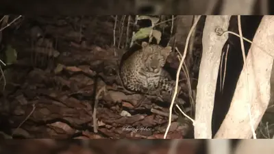 नक्सल छाया से निकलकर पर्यटन की नई पहचान गढ़ रहा बरहट,