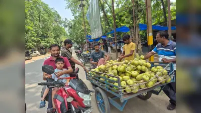 गर्मी ने फिर दिखाना शुरू किया अपना तेवर, तेज धूप व बढ़ते तापमान से बढ़ी परेशानी