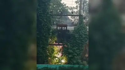 संयुक्त कृषि भवन के ट्रांसफार्मर में लगी आग, समय रहते पाया काबू
