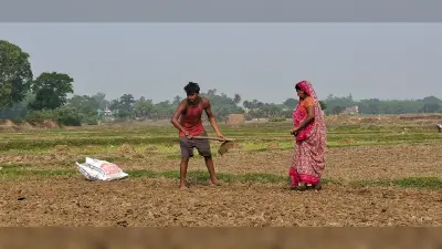 Giridih News :डीजल की किल्लत से आम लोगों के साथ किसान भी परेशान