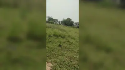 तरहारी में पांच एकड़ सरकारी भूमि का हुआ सीमांकन
