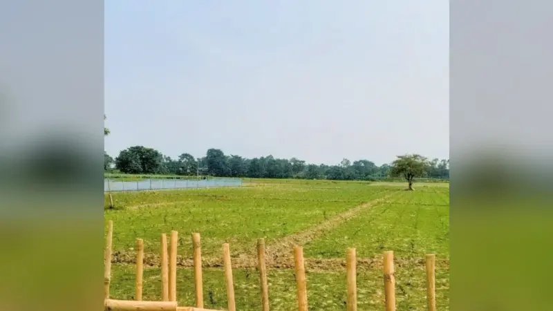 आदेश बेअसर, नहीं हटाया गया अतिक्रमण, डीएम से हस्तक्षेप की मांग