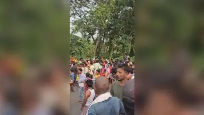 वाहन की टक्कर से महिला की मौत