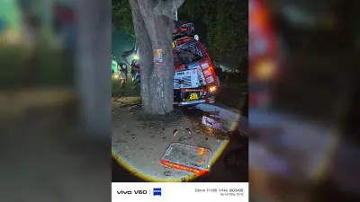 अनियंत्रित ट्रक इमली के पेड़ से टकराया, चालक की मौत