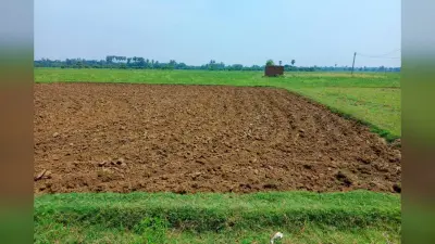 रोहिणी नक्षत्र के साथ खेतों में लौटी रौनक, धान की बुआई में जुटे भागलपुर के किसान