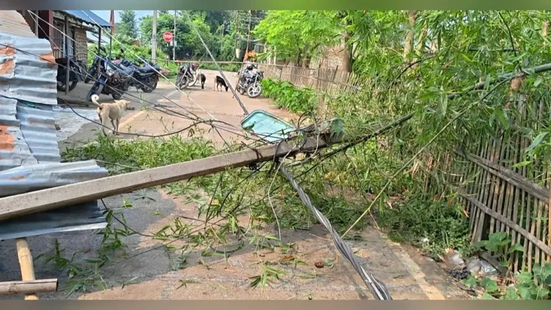 आंधी-तूफान से सड़क पर गिरा विशालकाय पेड़, बिजली के दो खंभे क्षतिग्रस्त