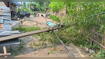 आंधी-तूफान से सड़क पर गिरा विशालकाय पेड़, बिजली के दो खंभे क्षतिग्रस्त