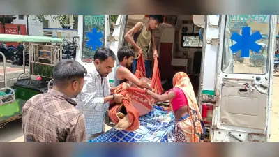 पीपल का पत्ता तोड़ने के दौरान पेड़ से गिरा अधेड़, कमर की हड्डी टूटी