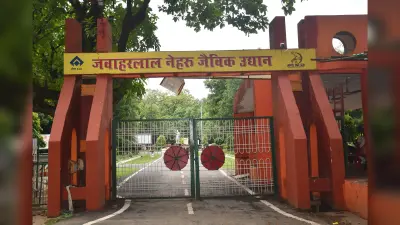 Bokaro News : जैविक उद्यान में पशु-पक्षियाें को बारिश से बचाने को लेकर हो रहे जतन