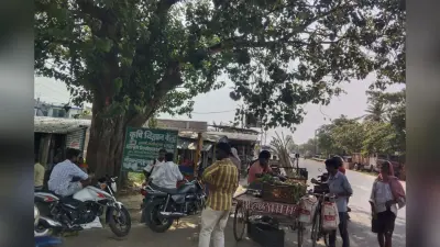 लखीसराय में चिलचिलाती धूप और उमस का कहर, पेड़ों की छांव में राहत तलाश रहे लोग