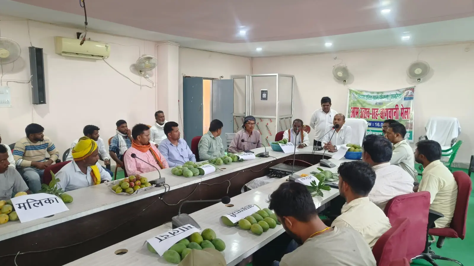 प्रदर्शनी में विविध प्रजातियों के आम बने आकर्षण का केंद्र