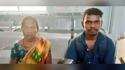 धालभूमगढ़ में पति-पत्नी व घाटशिला में महिला को सांप ने काटा, गंभीर