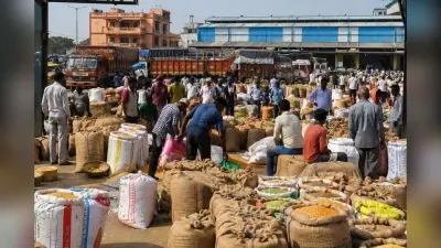 लखीसराय मंडी अपडेट : अनाज, दाल और तिलहन के भाव स्थिर, आलू-प्याज की कीमतों में जारी उतार-चढ़ाव