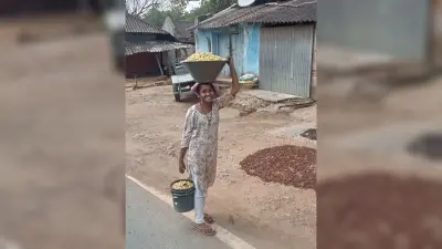 महुआ, चिरौंजी और कोचड़ा बेचकर ग्रामीण बन रहे आत्मनिर्भर
