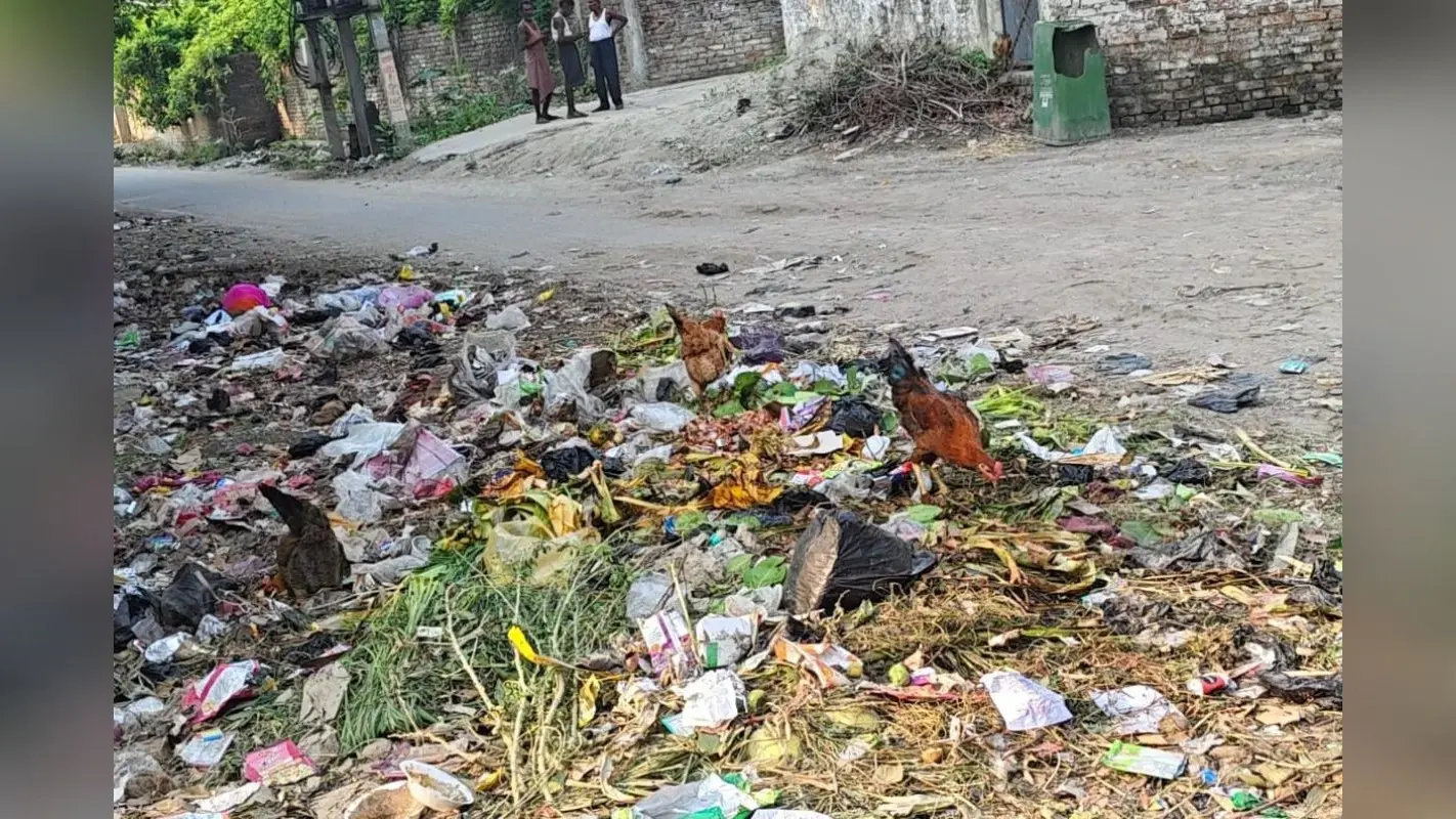 वैशाली में सड़क पर कचरा का अंबार, महुआ नगर परिषद वार्ड 20 में पड़े कचरे और बदबू से राहगीर परेशान