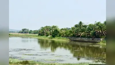 घाटशिला : दामपाड़ा के काडाडूबा तालाब के जीर्णोद्धार की तैयारी, विभाग बना रहा डीपीआर