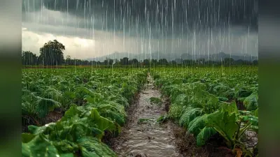 Muzaffarpur Weather Alert: मुजफ्फरपुर में आज आंधी-तूफान और वज्रपात की चेतावनी, मौसम विभाग ने जारी की जरूरी एडवाइजरी