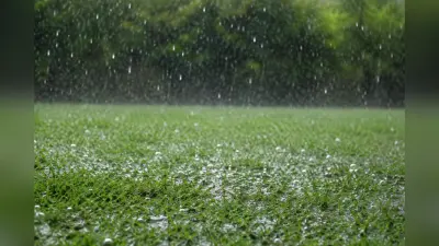 झारखंड के इन जिलों में आज बारिश की संभावना, येलो अलर्ट जारी
