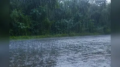 झारखंड के इन जिलों में 28 जुलाई को भारी बारिश की चेतावनी, येलो अलर्ट जारी