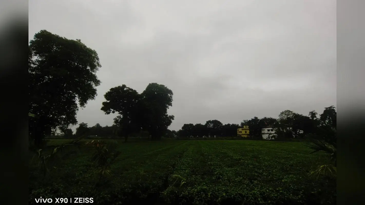 किशनगंज में झमाझम बारिश से तर-बतर हुआ जिला, कई इलाकों में जलजमाव, किसानों के चेहरे खिले