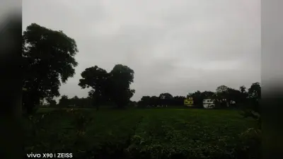 किशनगंज में झमाझम बारिश से तर-बतर हुआ जिला, कई इलाकों में जलजमाव, किसानों के चेहरे खिले