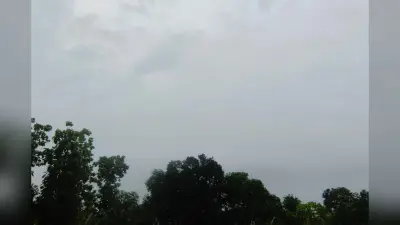 सीमांचल में मानसून का जोर, किशनगंज में भारी बारिश और वज्रपात का अलर्ट, 96% तक बारिश की संभावना