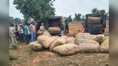 लातेहार में झामुमो का बूथ स्तरीय प्रशिक्षण शिविर, विनोद पांडेय ने बीएलए की भूमिका को बताया अहम